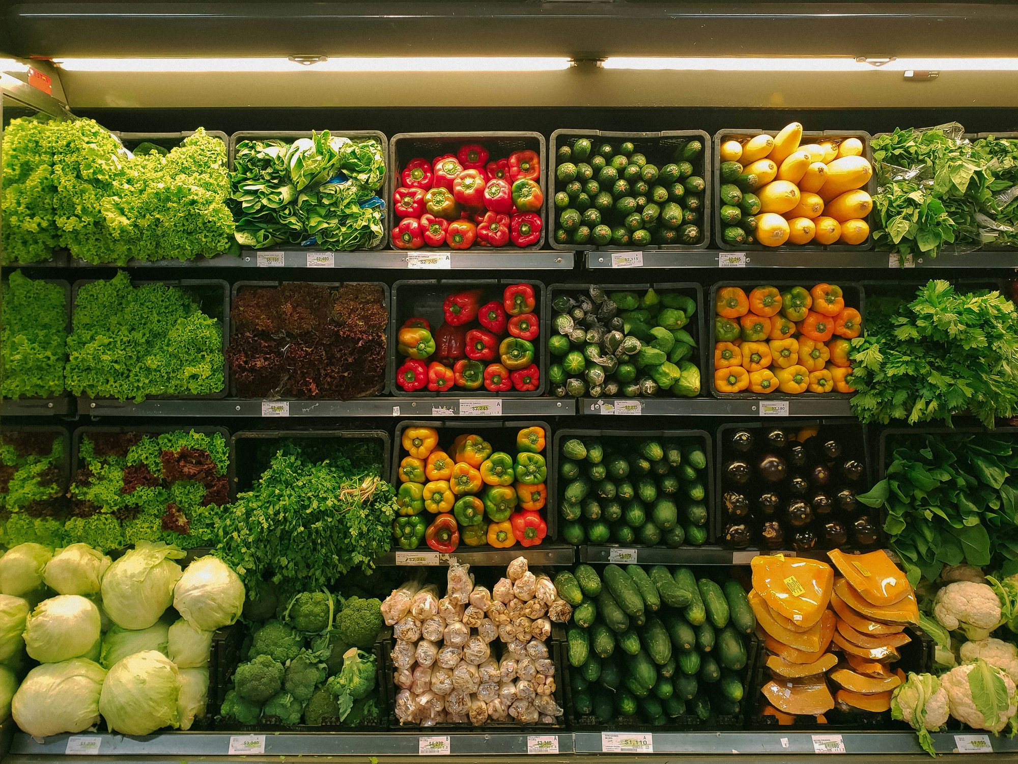 Rows of green, orange and red vegetables stacked in a supermarket counter